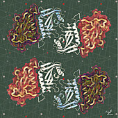 PARP15 DNA repair protein, illustration