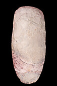 Neolithic ax in pink jasper