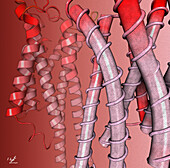 Adenosine A2A receptor, illustration
