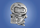 NASA Silver Snoopy Award Pin