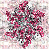 Specialised glyoxalase I enzyme, illustration