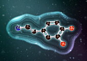 Dopamine molecule, illustration