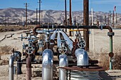Oil field, Maricopa, California, USA