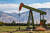 Crop field with oil well, Arvin High School, California, USA