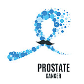 Prostate cancer, conceptual illustration