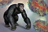Virus particles around chimpanzee, illustration