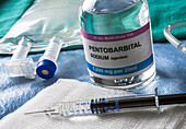 Vial of Pentobarbital sedative drug