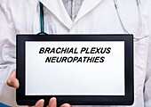 Brachial plexus neuropathies, conceptual image