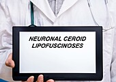 Neuronal ceroid lipofuscinoses, conceptual image