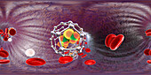 Fullerene nanoparticles in blood, illustration