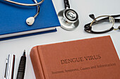 Dengue fever, conceptual image