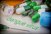 Dengue virus, conceptual image
