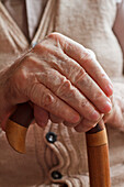 Hands of a senior man on a walking cane