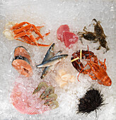 Frische Meeresfrüchte und Fische auf Eis