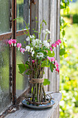 Weeping heart (Dicentra Spectabilis), bouquet on the window sill
