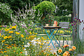Blumenbeete mit Kugellauch (Allium sphaerocephalon), Mädchenaugen (Coreopsis), Dahlien (Dahlia), Berufkraut (Erigeron) und Sonnenblumen vor Terrasse