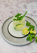 Vodka, Lime and Gingerbeer Cocktail with Mint based on a Moscow Mule