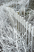 Zaun mit Rauhreif im Winter