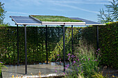 Solar panels with rooftop planting
