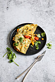 Vegetable omelette with cilantro