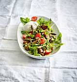 Asparagus salad with burrata and croutons