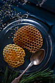 Honeycombs with spoon on a plate