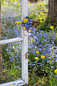 Kleiner Strauß in Eierschale mit Löwenzahn, Zierapfel, Vergissmeinnicht und Hornveilchen (Viola Cornuta) an altem Fenster aufgehängt, Blick in Garten