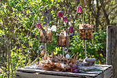 Vases filled with bulbs, checkerboard flowers (Fritillaria), eggs and feathers as Easter decoration on wooden table in the garden