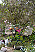 Tischdeko an Ostern, Korb mit Eiern und Kresse, blühende Magnolie, Hornveilchen und Felsenbirne, Katze und Hund