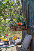 Flower hanging basket with forget-me-not, horned violet (Viola Cornuta), rosemary and table with daffodils, Easter decoration and wine glasses on terrace