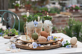 Kerzen mit Kresse in Eierschalen im Glas, Osterdekoration mit Hornveilchen (Viola Cornuta), Zwiebeln und Eier auf Tisch