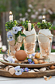 Kerzen mit Kresse in Eierschalen im Glas, Osterdekoration mit Hornveilchen (Viola Cornuta), Zwiebeln und Ei
