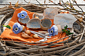 Hornveilchen (Viola Cornuta), Blüten mit Eierschalen und Zwiebeln im Osternest aus Clematiszweigen, Osterspruch