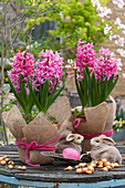 Hyacinths (Hyacinthus) in pots covered with jute fabric, Easter bunnies and bulbs on garden table