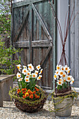 Frühlingsblumen in Töpfen, Narzissen (Narcissus) und Garten-Stiefmütterchen (Viola wittrockiana), Palmkätzchen (Salix) und Weidenkranz im Garten