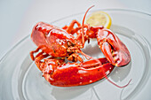 Lobster, boiled