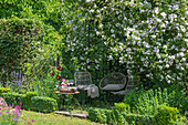 Idyllischer Sitzplatz unter Rosenbogen mit blühenden Rambler-Rosen
