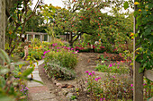 Kleingarten im Herbst mit Apfelbaum