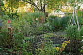 Herbststimmung im Garten mit Gewächshaus