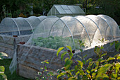 Raised bed with vegetable net