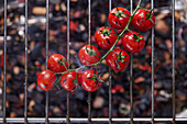 Grilled cherry tomatoes on a grill rack