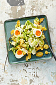 Endive salad on creamy potatoes with boiled eggs