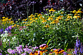 Perennial garden