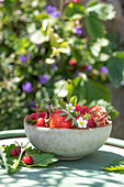 Frische Erdbeeren in Schale auf Gartentisch