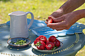 Eiswürfel mit Erdbeeren und Rosmarin