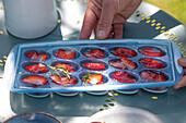 Eiswürfel mit Erdbeeren und Rosmarin