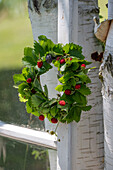 Wreath of wild strawberries with leaves