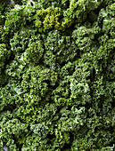 Fresh kale (close-up)
