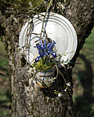 Topfdeckel mit Töpfchen, gefüllt mit Iris und Pflaumenblüten