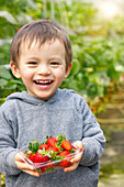 Little boy holding a bowl of fresh strawberries
